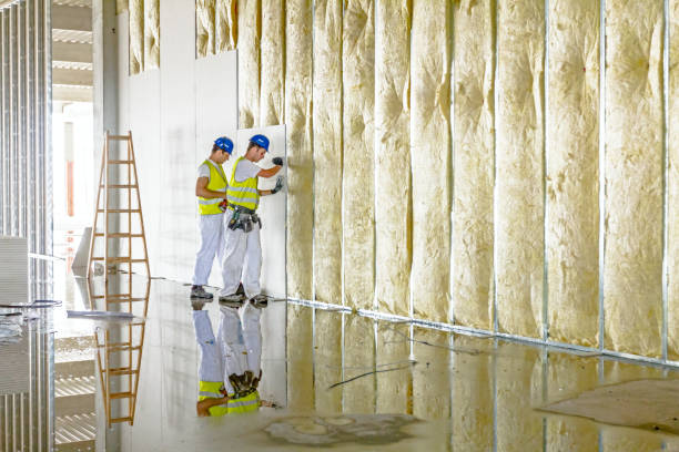 Professional Insulation in Harrisburg, IL